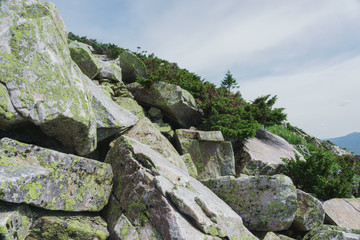 Alpine meadows Taganay