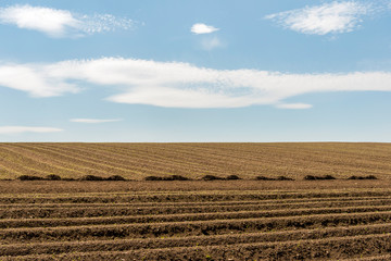 Ploughed and Prepared Field 