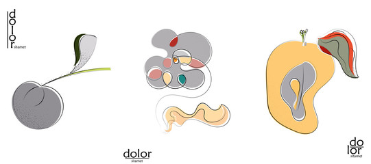 Naklejka premium B13_1116
