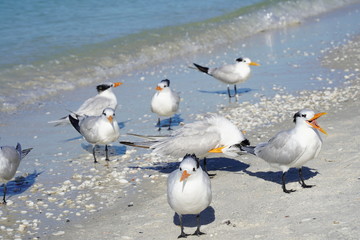 Summer day at the beach