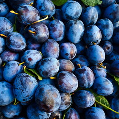Blue blue plum next to each other, plums.
