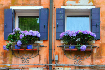 Venetian windows with flowers