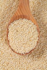 sesame seeds isolated on white