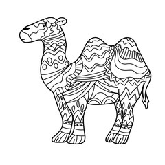  vector illustration of a kids coloring camel on a white background isolated