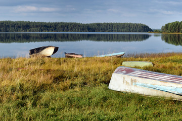 Trees, bushes and grasses on the banks of a beautiful quiet lake.