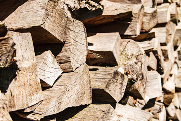 Brennholzstapel - Holz, Holz im Wald, gestapeltes Holz, Wintervorrat