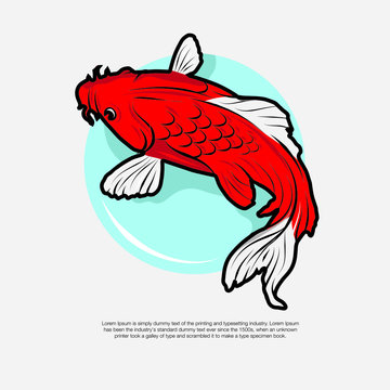 Koi Fish Drawing Vector Illustration. Good For Pond Or Koi Farm And Any Japanese Element.