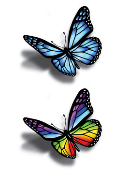 Hand drawn set of two beautiful colorful butterflies on a white background. Multicolor and blue butterflies illustration.