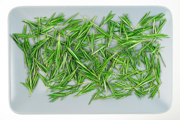 Sprigs of fresh rosemary in a plate isolated on white background.