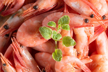 Fresh organic boiled shrimps with oregano twig macro view. Sea food background.