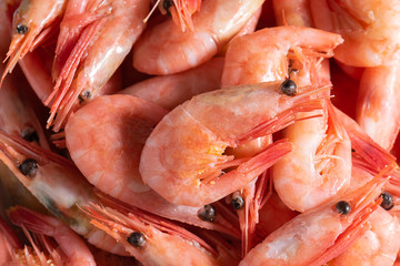 Fresh organic shrimps macro view. Sea food concept. Healthy diet food concept.