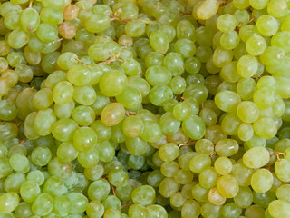 Grapes