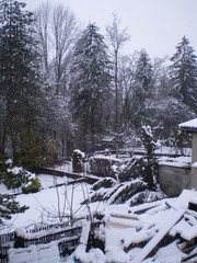 View of a garden covered by snow.