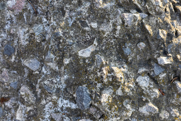 Old gray granite concrete overgrown with moss.Backgrounds and textures