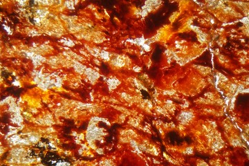 Obraz na płótnie Canvas Petrographic thin section of an iron rich laterite soil.
