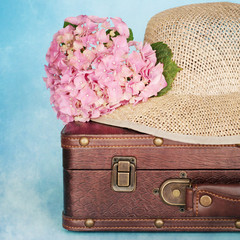 Pink hydrangea flowers