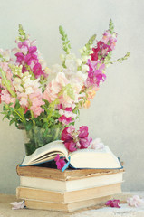 Rustic bouquet of snapdragon