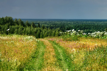 Fototapeta premium Summer fields, forests and meadows, under the bright and warm sun and fluffy clouds.