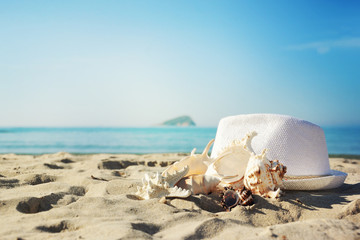 Fototapeta na wymiar Shells on sandy beach