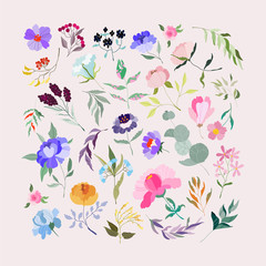 Vector Flowers set. Elegant feminine eucalyptus, wild purple peonies, violet branch, branches with berries. Variety of garden botanics for web, app, pattern and logo design. Modern illustration.