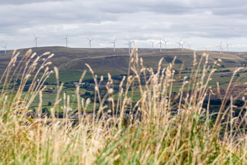 Wind farm
