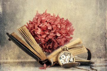 Dried hortensia on the vintage book