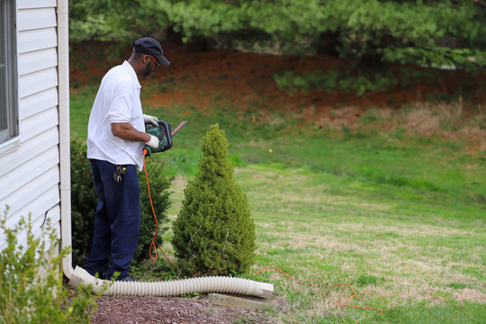 African-American Man Trimming The Hedges In His Backyard 