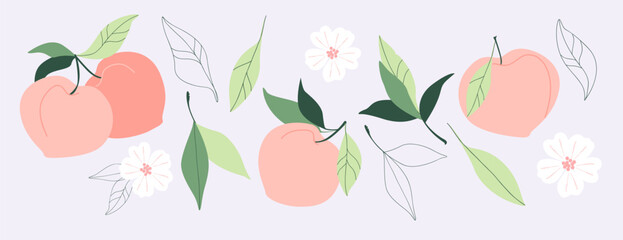 Round orange peaches, leafs and flowers. Set of trendy vector hand drawn illustrations. Healthy natural food, juicy summer fruit elements for web, app, textile, wallpaper, stationery design.