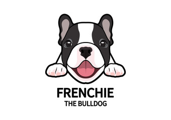 Adorable Full Color French Bulldog Face Logo Mark. Cute chubby frenchie in good mood is waiting for his snack.