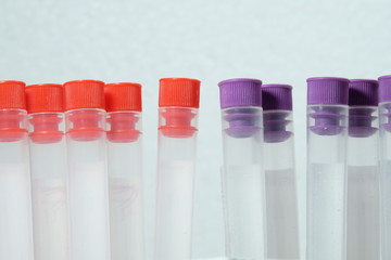 purple and red blood collection tubes in the middle White background
