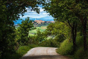 Scenic Tuscan Road