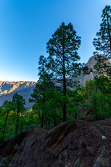 Scenic view on Caldera de Taburiente with green pine forest, ravines and rocky mountains near viewpoint Cumbrecita, La Palma, Canary islands, Spain
