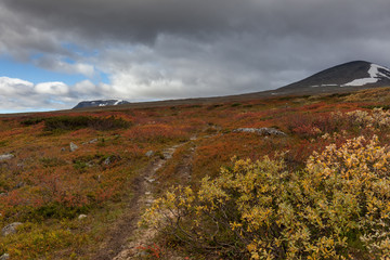 View to Sarek National Park in autumn, Sweden, selective focus