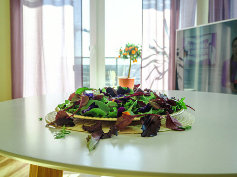 Mix salad on a salver, top view. Green salad leaves mix on white table. Plate, herbs. Fresh mixed vegetable salad , close up. Healthy food. Copy space