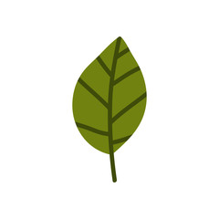 leaf doodle icon, vector illustration