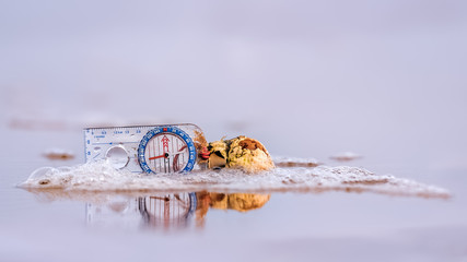 Compass and sea shell in shallow surf on a beach with reflections in wet sand