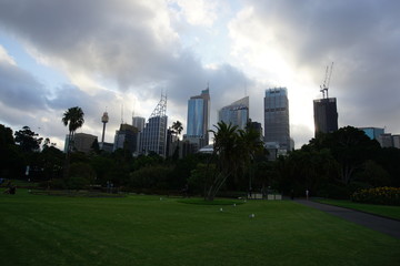 Obraz premium View on Sydney from Royal Botanic Gardens