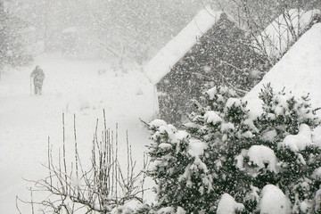 Snow blizzard in winter, dense snow falling with strong wind and old woman walking through the snow, metorological cold windy and snowy weather photo