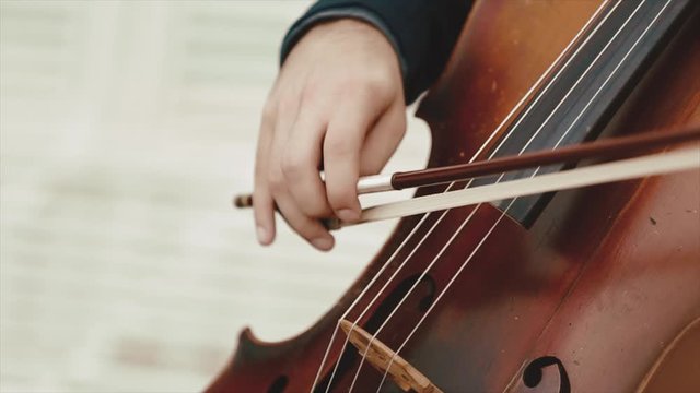 Front view of play on the double bass on the festive banquet, musical instrument, musical outdoors performance