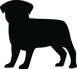 Vector illustration, black silhouette on a white background, pug dog.