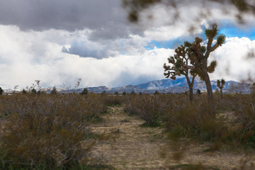 Fototapeta na wymiar Desert mountain couds