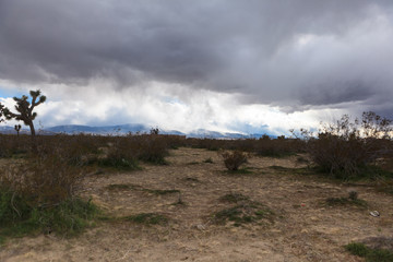 desert clouds