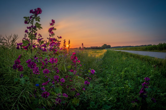 Sonnenuntergang in Aying