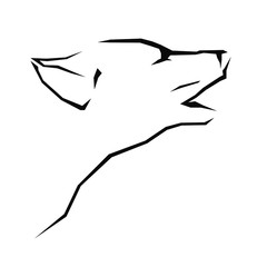 Wolf head on a white background