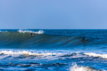 Fototapeta premium surfing in the Pacific Ocean
