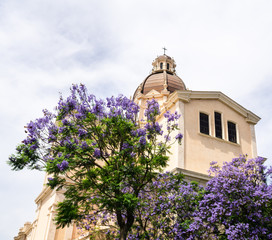 Jacaranda trees and flowers behind The Basilica of Bonaria in Cagliari, Sardinia