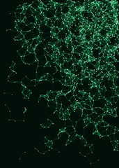 Network Mesh Procedural Art background illustration