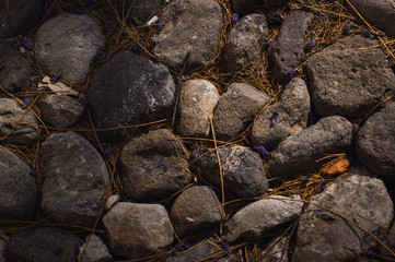 Stones in Branches Texture