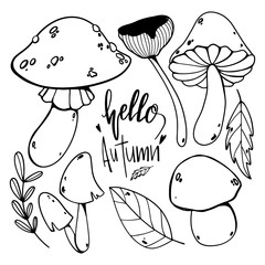 Fly agaric, lettering the words hello autumn, honey mushrooms, russula, leaf set cute outline doodle art. Print for cards, posters, banners, stickers, web, fabrics, textiles, wrapping paper.