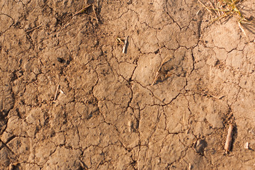 dry cracked earth